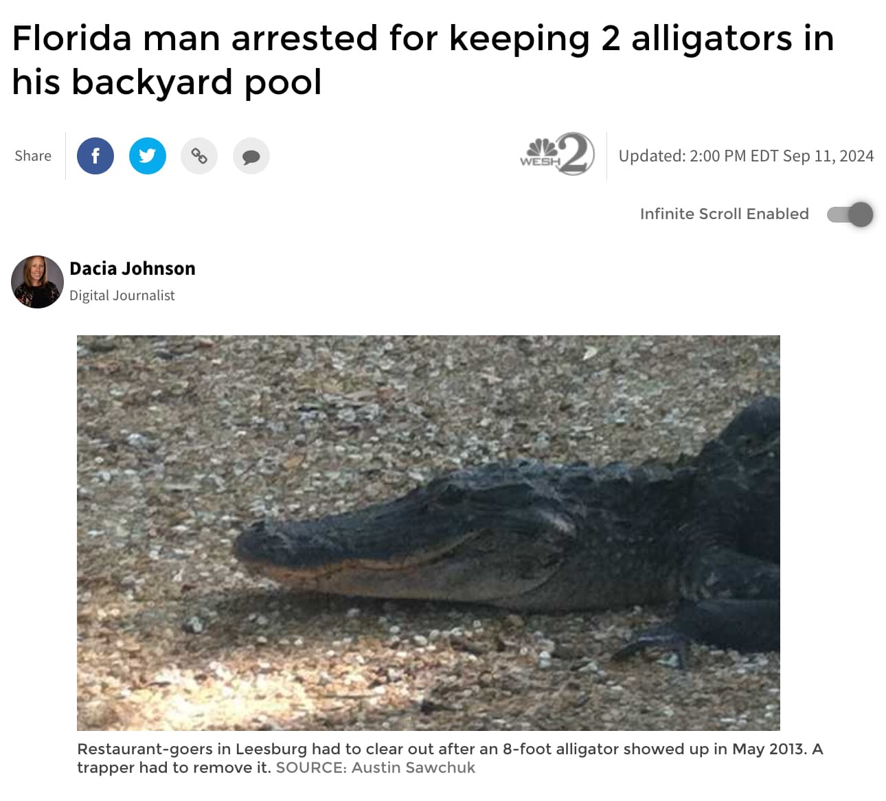 american crocodile - Florida man arrested for keeping 2 alligators in his backyard pool f Go Dacia Johnson Digital Journalist Wesh Updated Edt Infinite Scroll Enabled Restaurantgoers in Leesburg had to clear out after an 8foot alligator showed up in . A t